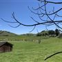 Horick Ranch