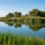 Mojave Narrows Regional Park