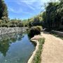 Japanese Gardens @ Donald C. Tillman Water Reclamation Plant