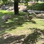Japanese Gardens @ Donald C. Tillman Water Reclamation Plant