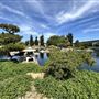 Japanese Gardens @ Donald C. Tillman Water Reclamation Plant