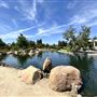 Japanese Gardens @ Donald C. Tillman Water Reclamation Plant