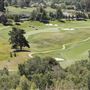 The Quail
