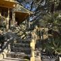 The Treehouse Studio City