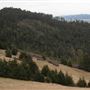 Bear River Ridge Road