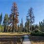 Ward Creek Park Property