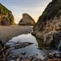 Coast Dairies State Beaches (Bonny Doon State Beach, Shark Fin State Beach, Laguna State Beach & Panther)