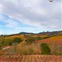 Christopher Creek Winery