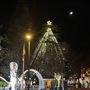 Los Gatos
