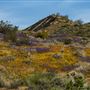 Onyx Ranch State Vehicular Recreation Area (SVRA)