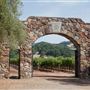 Sebastiani Winery