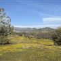 Bufford Ranch, managed by Golden Ranch Estates