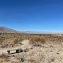 The Living Desert Zoo and Botanical Gardens
