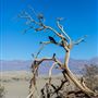 Death Valley National Park