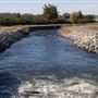 Gray Lodge Wildlife Area - California Department of Fish & Wildlife (CDFW)
