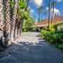 Vintage Hollywood Vibes – Secluded Palm-Lined Mid-Century Pool Oasis Wrapped In Lush Greenery – A Filmmaker’s Dream!