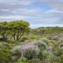 Fort Ord National Monument