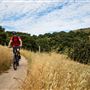 Fort Ord National Monument