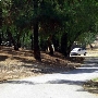 Cal Poly Pomona Campus South / RSI Pomona