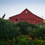 Straus Home Ranch