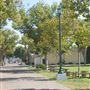 Santa Maria Fair Park - 37th DAA