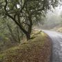 Fremont Peak State Park (SP)