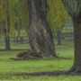 Colusa-Sacramento River State Recreation Area (SRA)