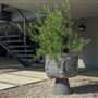 Mulholland Hwy House