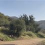 Agua Dulce Horse Ranch