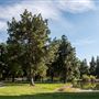 Yorba Regional Park