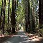 Pfeiffer Big Sur State Park (SP)