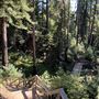 Pfeiffer Big Sur State Park (SP)