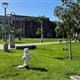Orange Coast College - OCC