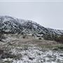 Wildwood Canyon Park Property