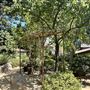 Storrier Stearns Japanese Garden