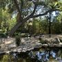 Storrier Stearns Japanese Garden