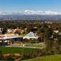 Concordia University