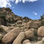 Yucca Valley