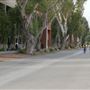 California State University, Long Beach - CSULB
