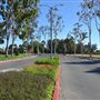 California State University, Long Beach - CSULB
