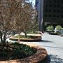 City National Plaza