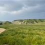 Bracaccini Ranch Property - 50 acres open field / Ranch House / Barns