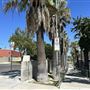 Del Amo Park - City of Carson