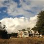Bees Rock Ranch