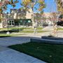 College of the Canyons