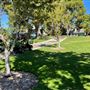 College of the Canyons