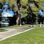 College of the Canyons