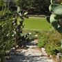 California State Polytechnic University, Pomona - Cal Poly Pomona