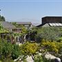 California State Polytechnic University, Pomona - Cal Poly Pomona