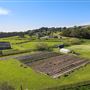131 Tunitas Creek Rd.